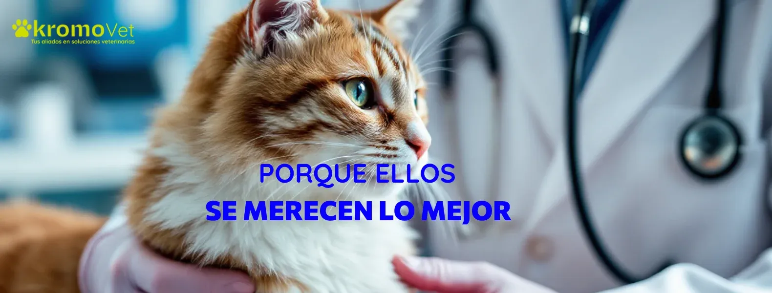 Porque ellos se merecen lo mejor