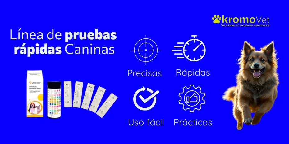 Línea de pruebas rápidas caninas: precisas, rápidas, de uso fácil y prácticas