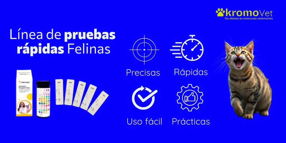 Línea de pruebas rápidas felinas: precisas, rápidas, de uso fácil y prácticas